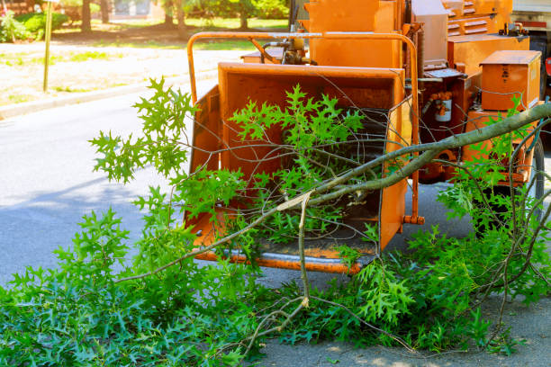 Best Artificial Turf Installation  in Berkeley, MO